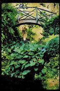 Garden 346072 Bridge And Vase Compton Acres, England A4 Limited Edition Watercolour Print