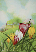 Garden Flowers 1926 Crocus A4 Photo Print