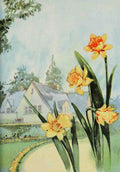 Garden Flowers 1926 Daffodil A4 Photo Print