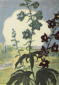 Garden Flowers 1926 Delphinium Myron Van Brunt 1887 1963 A4 Photo Print
