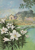 Garden Flowers 1926 Easter Lily A4 Photo Print