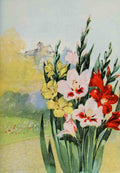 Garden Flowers 1926 Gladiolus A4 Photo Print