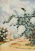 Garden Flowers 1926 Hydrangea A4 Photo Print