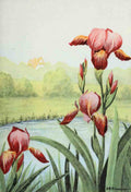 Garden Flowers 1926 Iris LA Simonson A4 Photo Print