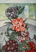 Garden Flowers 1926 Verbena A4 Photo Print