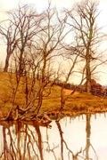 Garden William Fraser Views From The River Art A4 Photo Print
