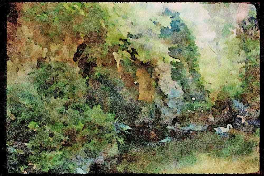 Gardens 214025 Public Gardens, Avignon, France A4 Limited Edition Watercolour Print