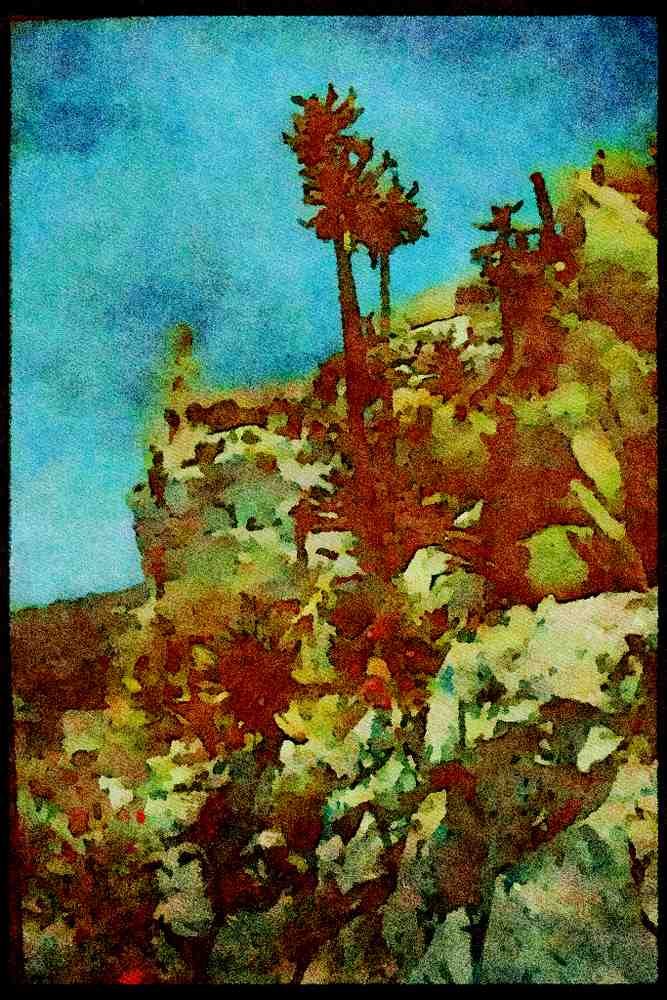 Gardens 214034 Cactus Garden, Eze, Provence, France A4 Limited Edition Watercolour Print