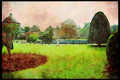 Gardens 214041 Istanbul, Turkey A4 Limited Edition Watercolour Print