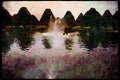 Gardens 214058 Regent's Park, London, England A4 Limited Edition Watercolour Print