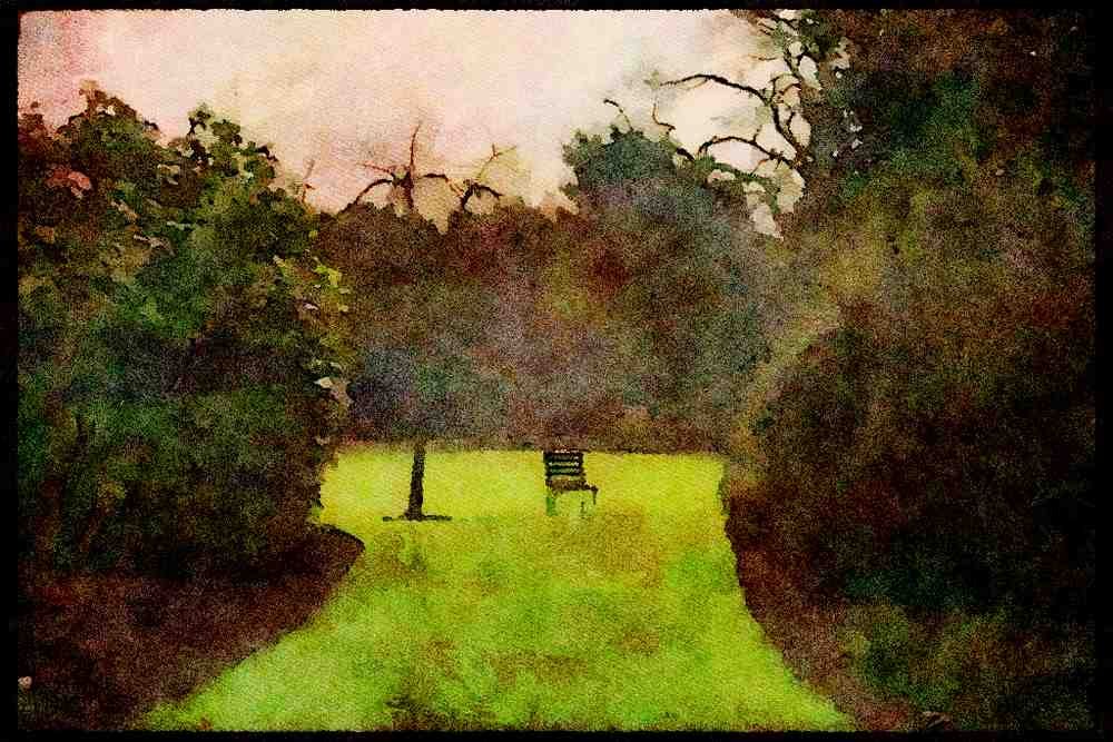 Gardens 214068 College Garden, Cambridge, England A4 Limited Edition Watercolour Print