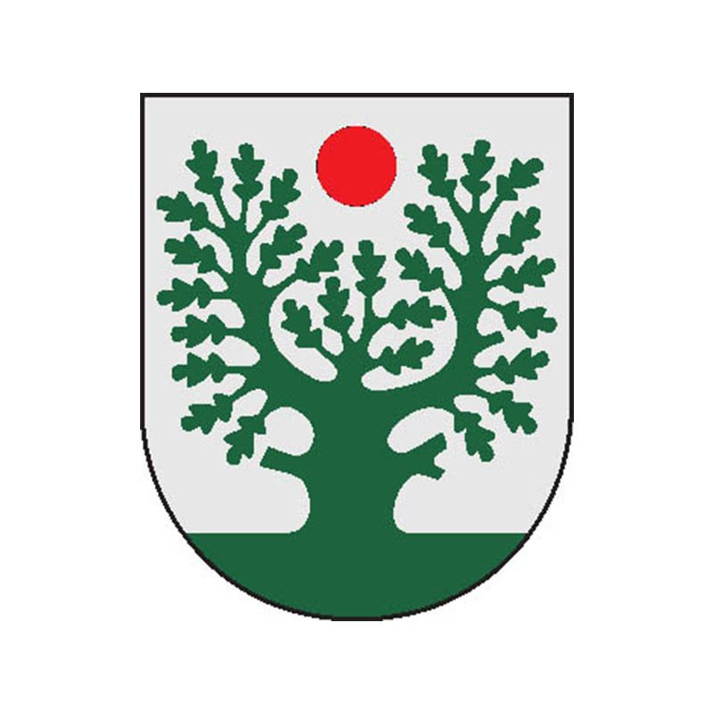 Gaure City Coat Of Arms N6882 A4 Photo Print