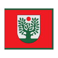 Gaure City Flag N6883 A4 Photo Print