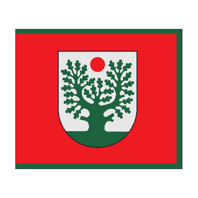 Gaure City Flag N6883 A4 Photo Print