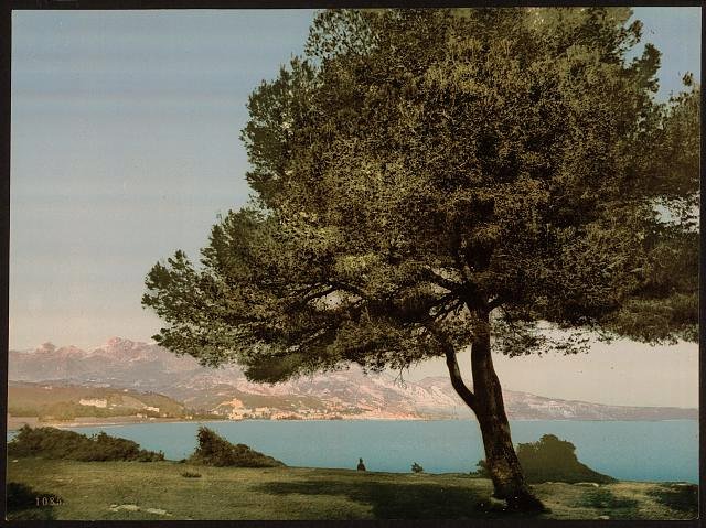 General view Cap Martin Mentone Vintage A4 Photo Print