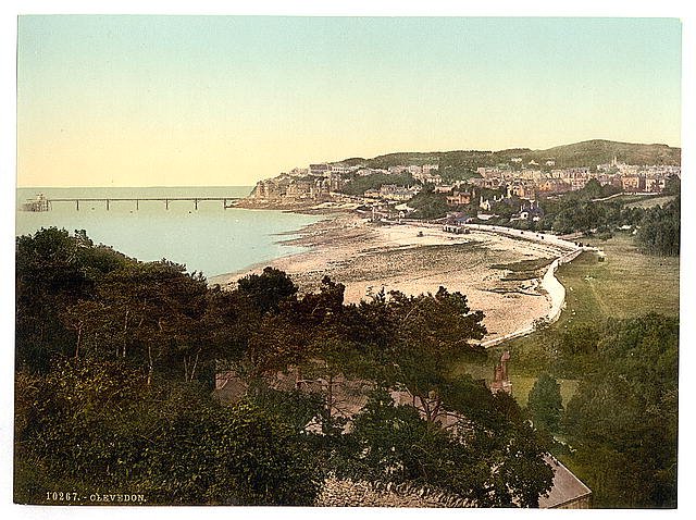 General view Clevedon Vintage A4 Photo Print
