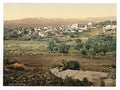 General view Jenin Vintage A4 Photo Print