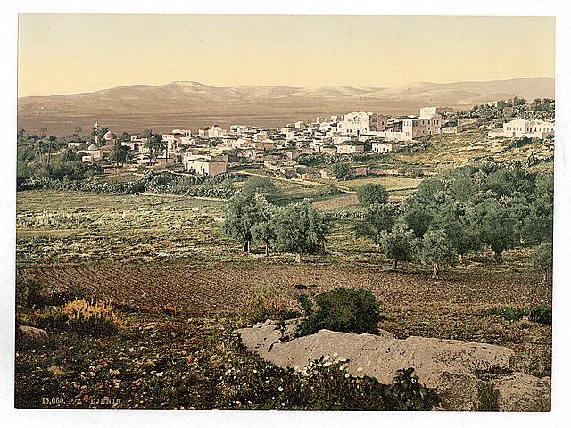 General view Jenin Vintage A4 Photo Print