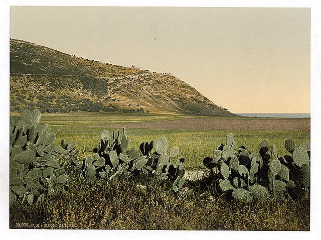 General view Mount Carmel Vintage A4 Photo Print