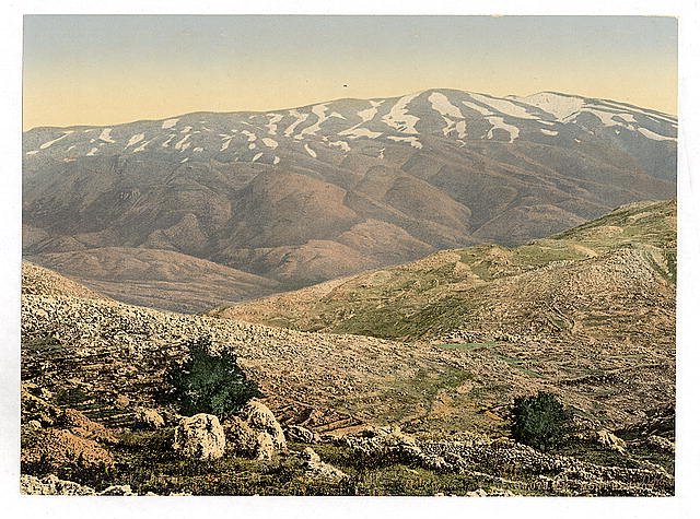 General view Mount Hermon Vintage A4 Photo Print