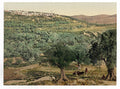 General view Samaria Vintage A4 Photo Print