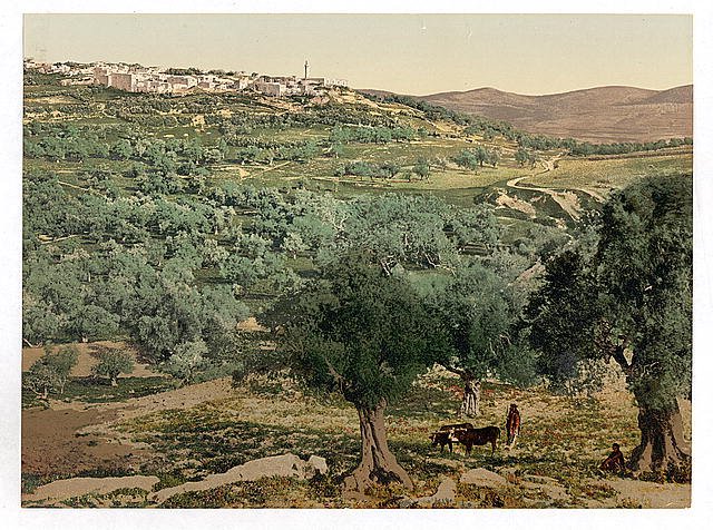 General view Samaria Vintage A4 Photo Print