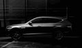 Genesis Gv80 6725 1 Car A4 Photo Print