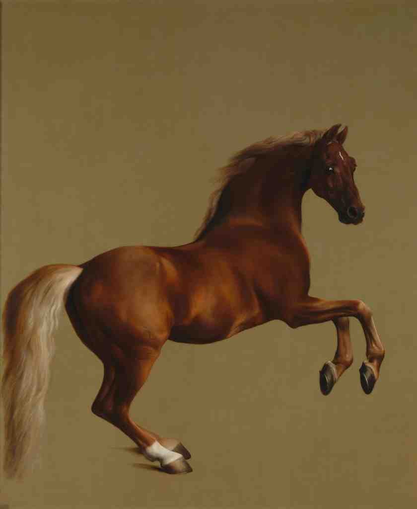 George Stubbs Whistlejacket A4 Photo Print