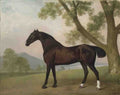 George Stubbs a dark bay hunter beside a tree in an extensive landscape Art A4 Photo Print