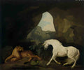 George Stubbs a lioness and a horse in a cave Art A4 Photo Print