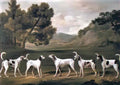 George Stubbs foxhounds in a landscape 1762 Art A4 Photo Print