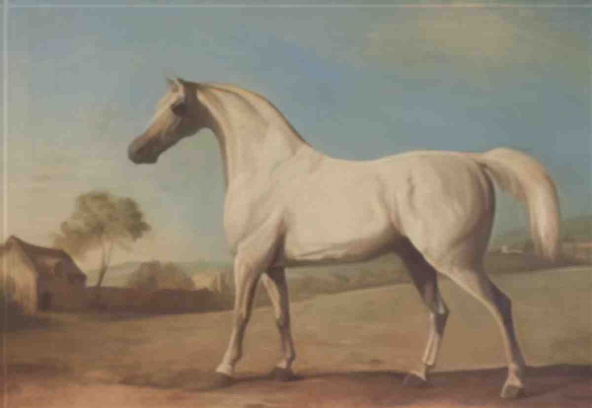 George Stubbs mambrino a grey stallion in a field Art A4 Photo Print