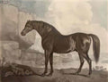 George Frederick Watts petraia1 Art A4 Photo Print