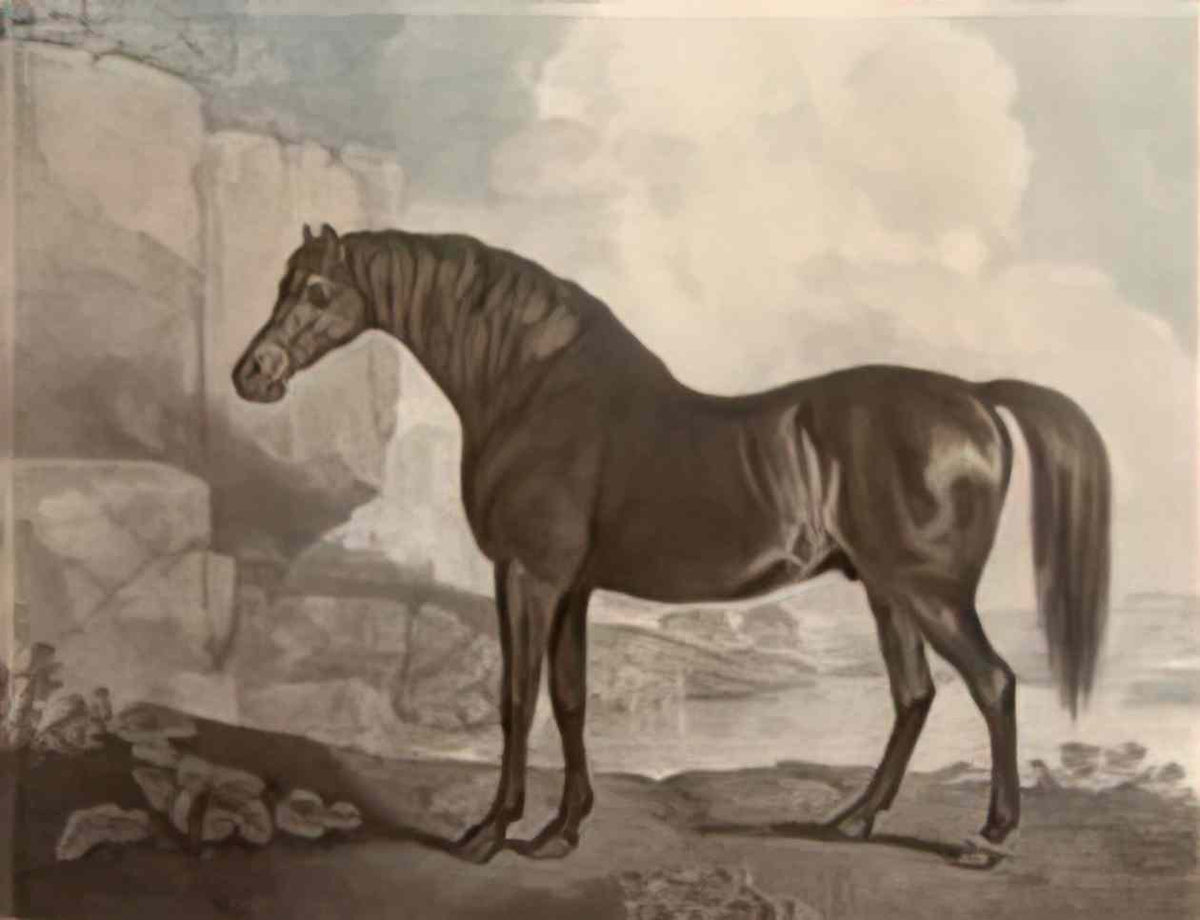 George Frederick Watts petraia1 Art A4 Photo Print