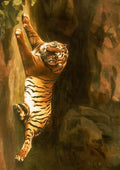 George Stubbs portrait of the royal tiger CROP A4 Photo Print