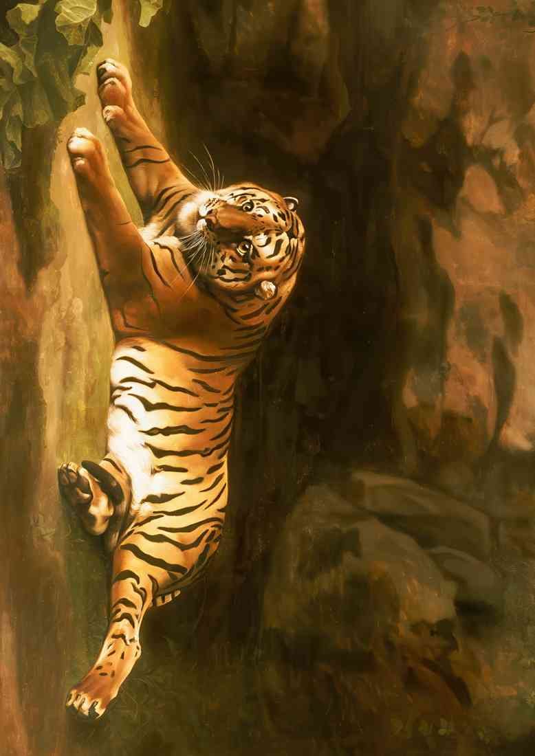 George Stubbs portrait of the royal tiger CROP A4 Photo Print