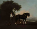 George Stubbs a chestnut racehorse Art A4 Photo Print
