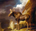 George Stubbs a foxhound ringwod Art A4 Photo Print