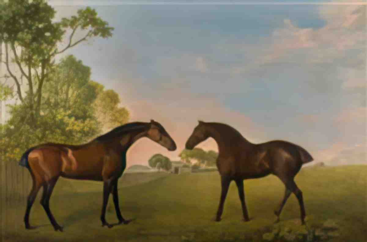 George Stubbs a horse frightened by a lion1 Art A4 Photo Print