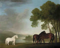 George Stubbs a lion and a lioness Art A4 Photo Print