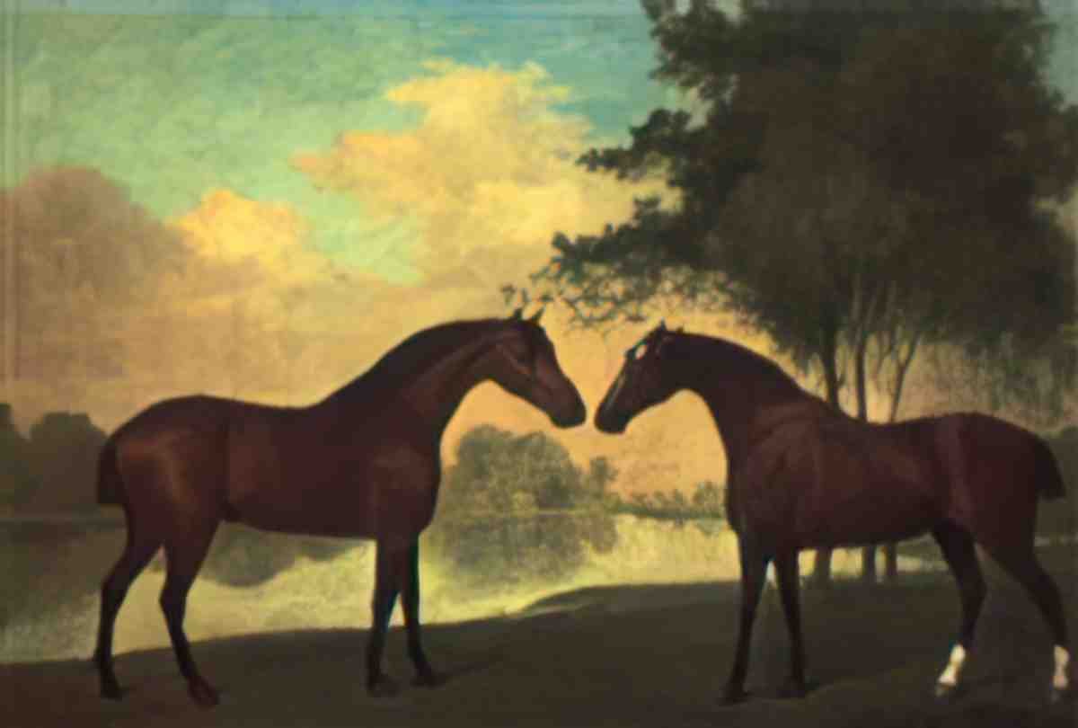 George Stubbs a lion and lioness in a cave Art A4 Photo Print