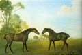 George Stubbs a lion attacking a horse Art A4 Photo Print
