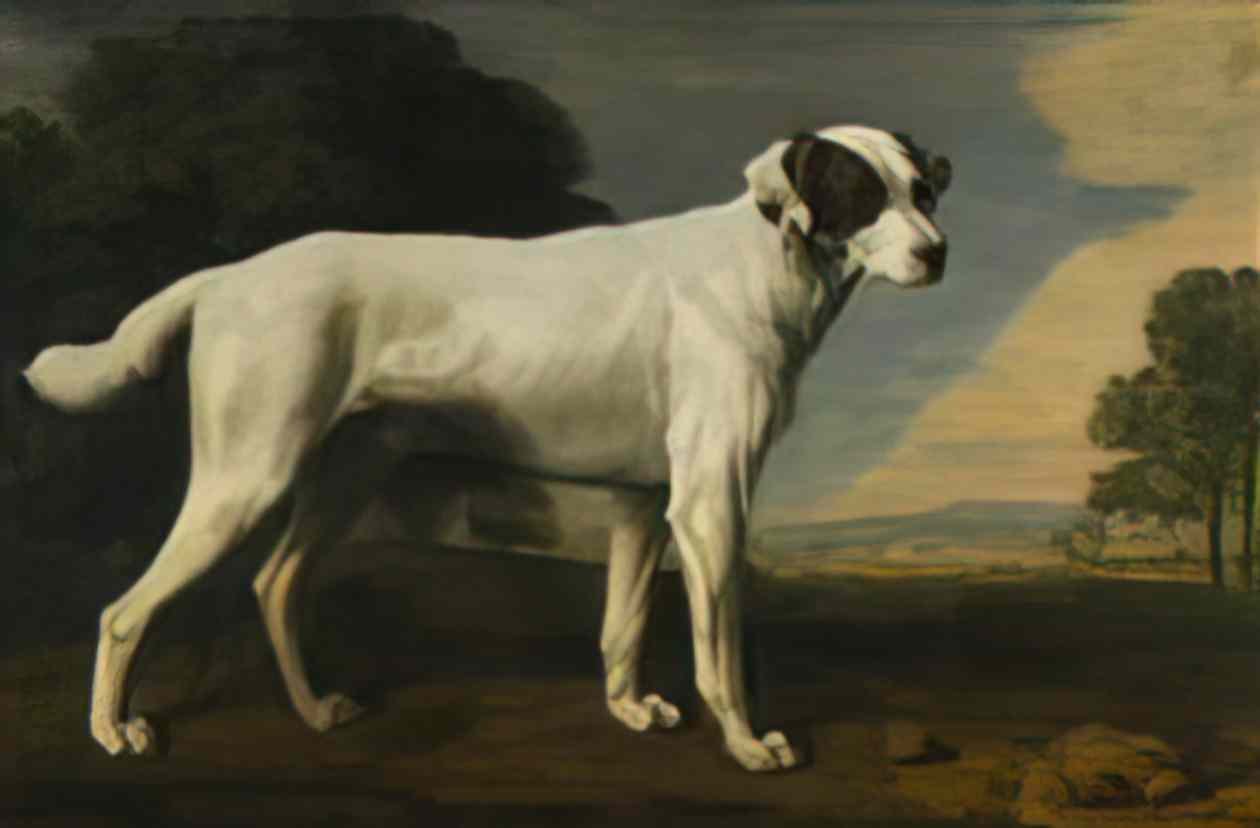 George Stubbs a red and white spaniel in a landscape Art A4 Photo Print
