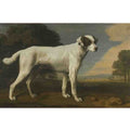 George Stubbs a saddled bay hunter Art A4 Photo Print