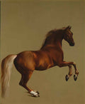 George Stubbs a sleeping cheetah Art A4 Photo Print