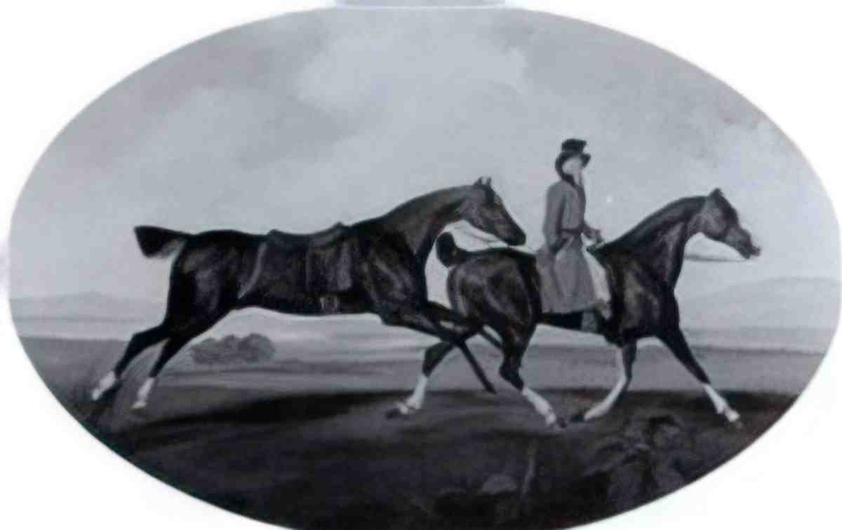 George Stubbs a tiger and a lion in a landscape a pair Art A4 Photo Print