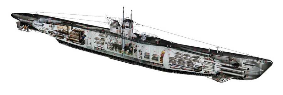 German Type VII submarine cutaway A4 Photo Print