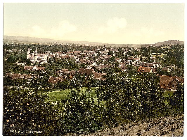 Gernrode from Schweler Wood Hartz Vintage A4 Photo Print