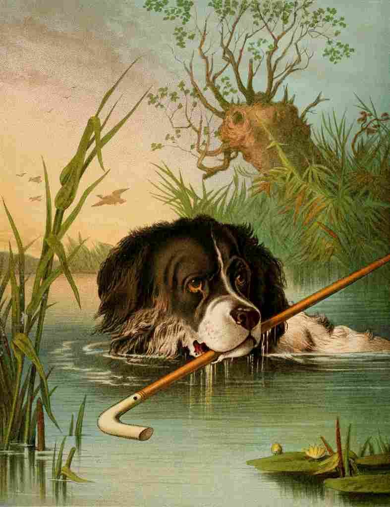 Giacomelli Hector c1880 Clever Dog A4 Photo Print