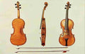 Gibb William 1921 Violin The Hellier Stradivarius A4 Photo Print